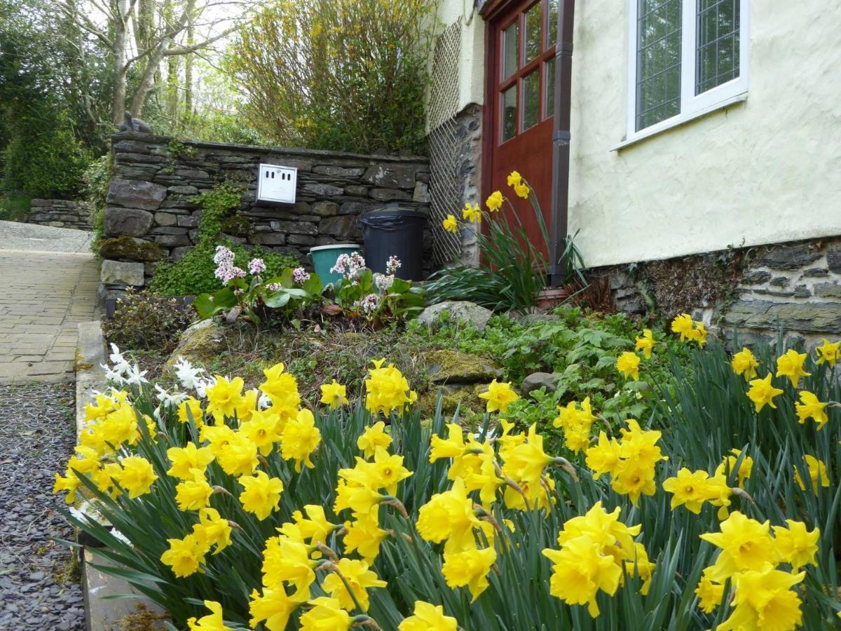 Vila Hafannedd Corwen Exteriér fotografie
